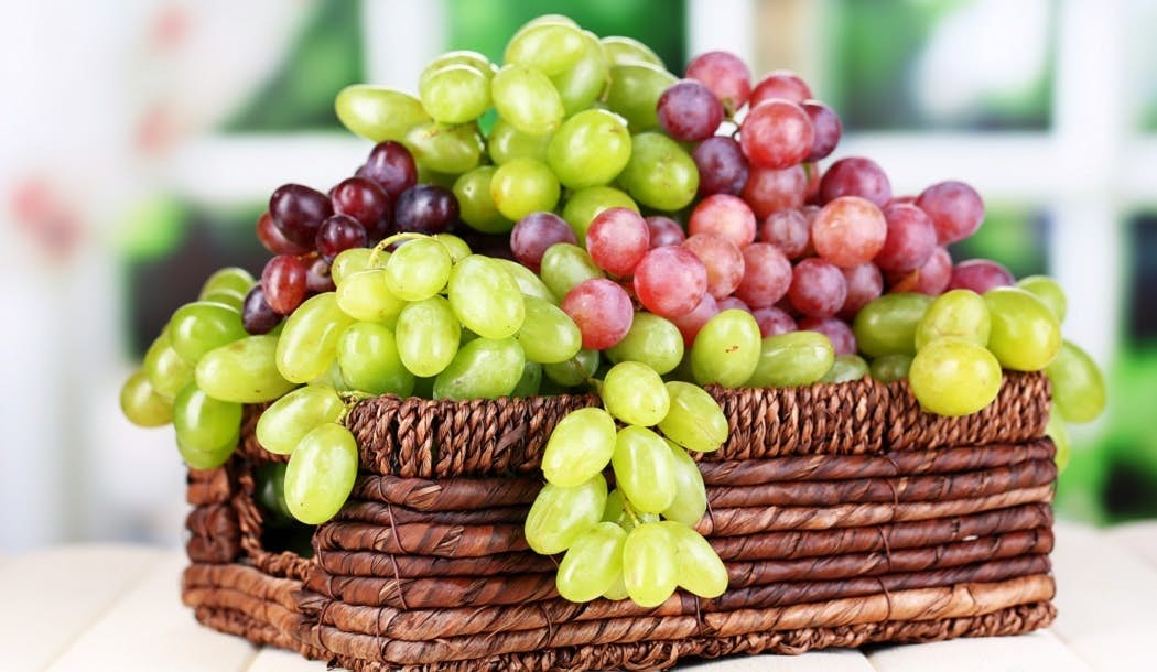 Grapes Offer More Than Heart Help -- They Also Keep You Safe from Cancer about undefined