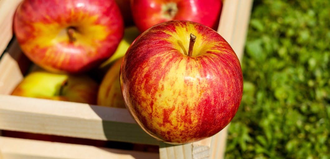 An Apple a Day Helps Keep Cancer Away about undefined