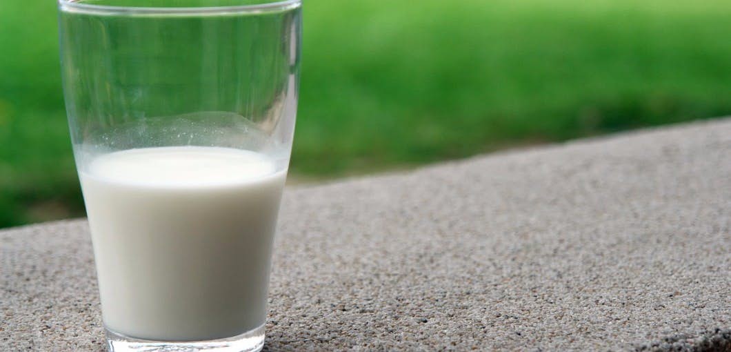 Should You Ditch Dairy for These  “Alternative” Milks? about undefined