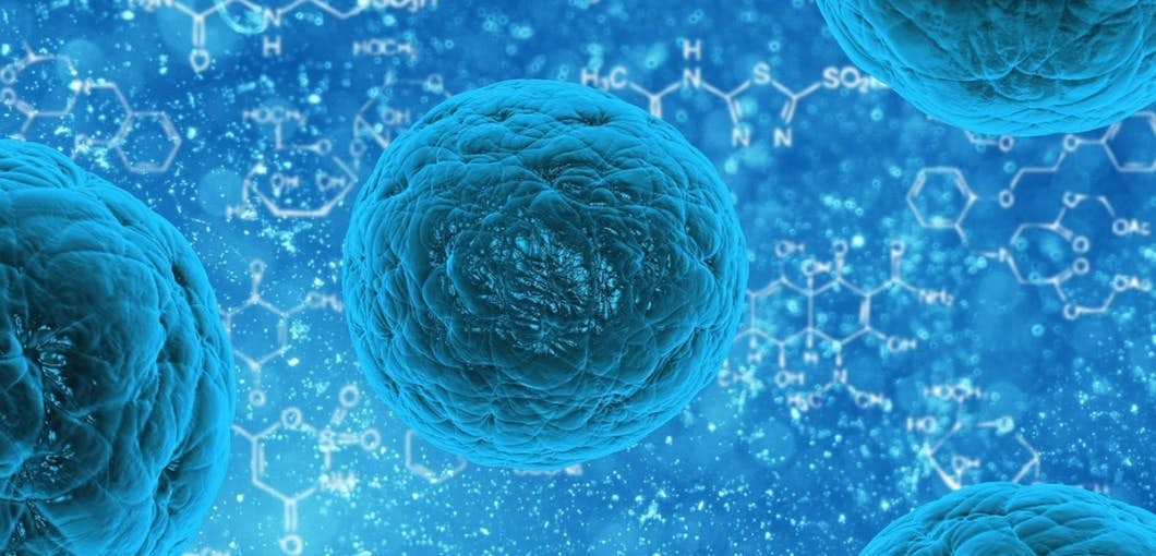 Promising (and rare) treatment kills cancer stem cells about undefined
