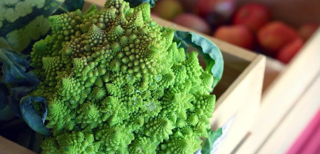 This vegetable defeats cancer at the genetic level about undefined