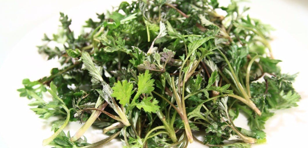 This malaria herb is also a cancer fighter about undefined