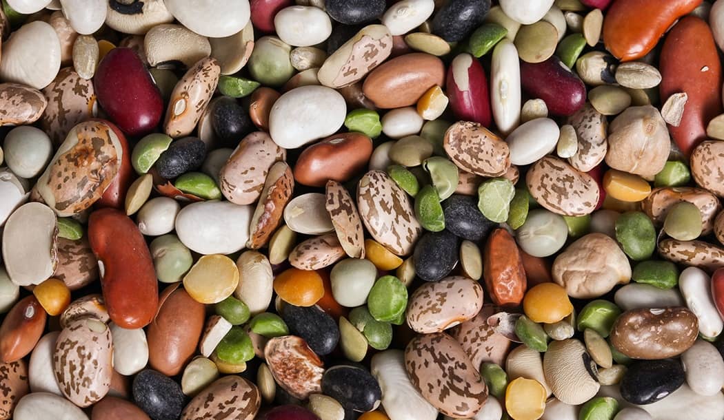 One of the Healthiest Foods on Earth for Battling Cancer about undefined