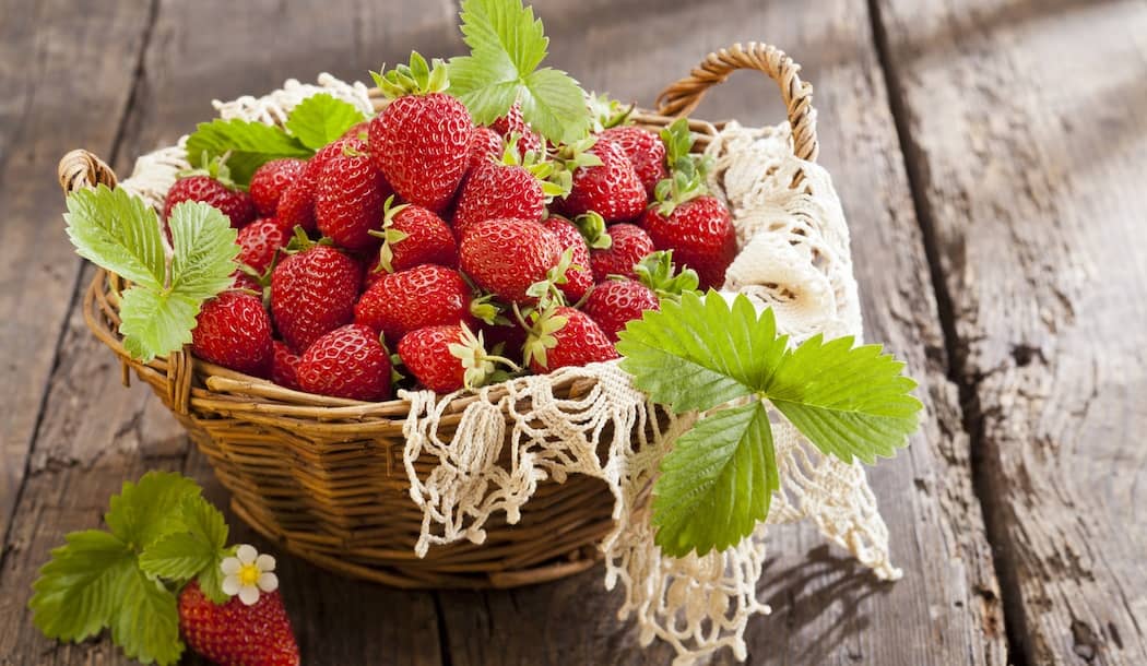 This Sweet & Juicy Summer Treat Fights Cancer on Many Fronts about undefined