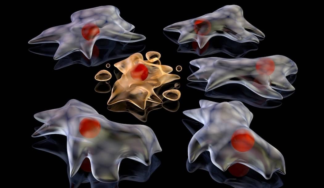 Use Your Body's Natural Powers to Get Rid of Aging Cells about undefined