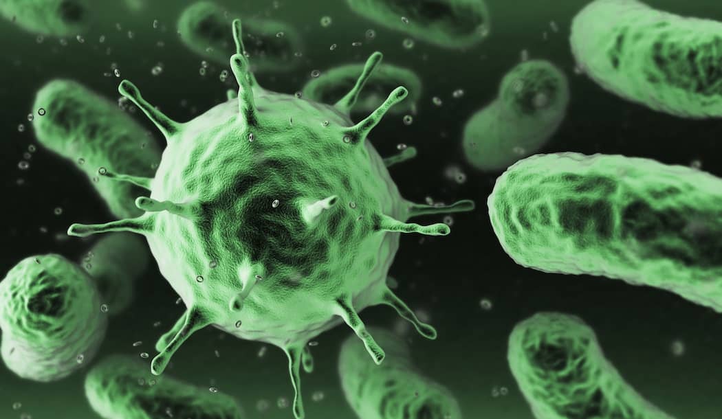 These Are the Germs That Could Someday Cure Cancer about undefined