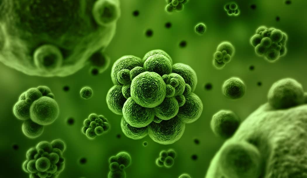 We’re All at Risk for Parasites about undefined