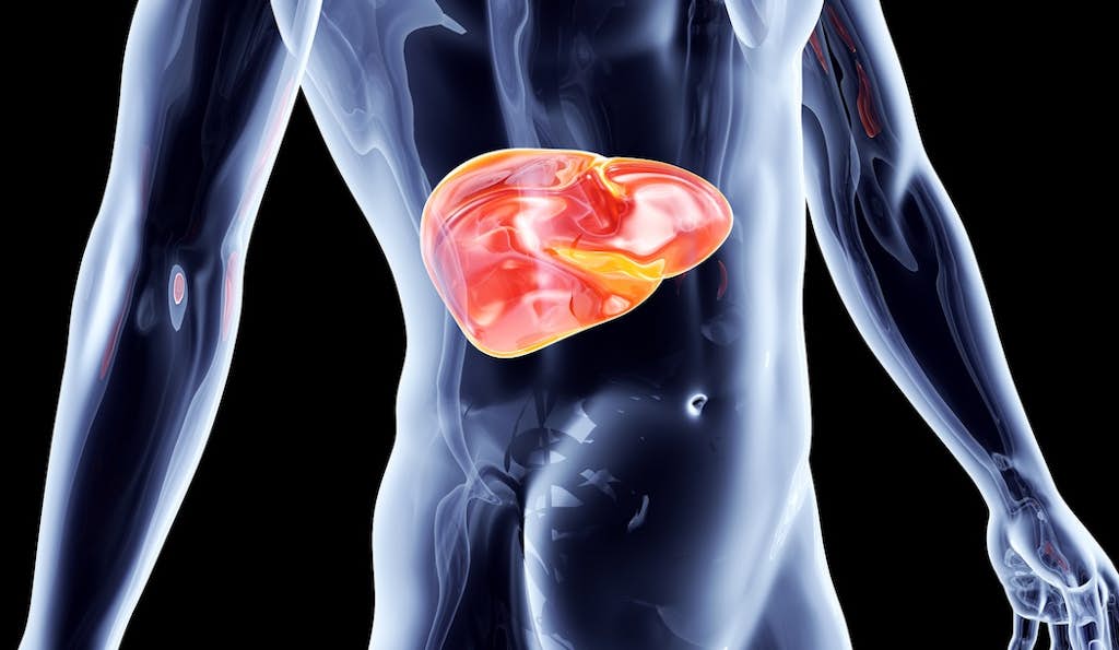 Daily Habit of 15 Million People Nearly Doubles Your Risk of Liver Cancer about false