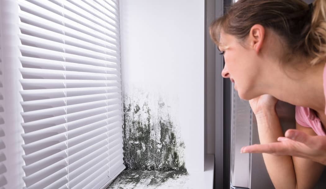 Mold in Your Home is a Cancer Danger about undefined