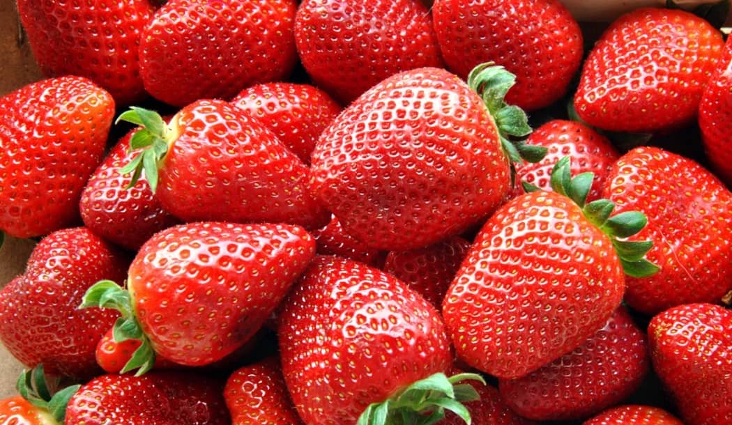 This Fruit Packs a Potent Punch Against Cancer about undefined