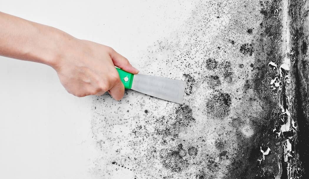 The Stealth Cause of Cancer No One’s Even Looking For about undefined