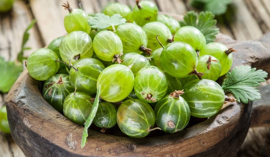 Ayurvedic Medicine’s Powerful Anti-Cancer Fruit about undefined