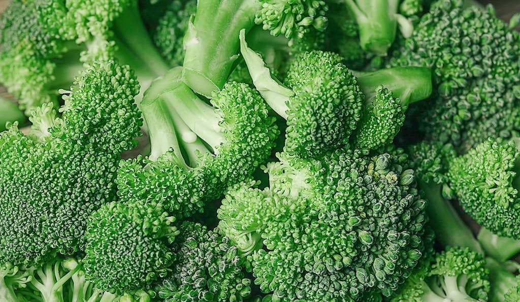 The Superfood that Stops and Prevents Cancer about false