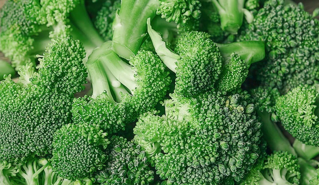 The Superfood that Stops and Prevents Cancer about undefined