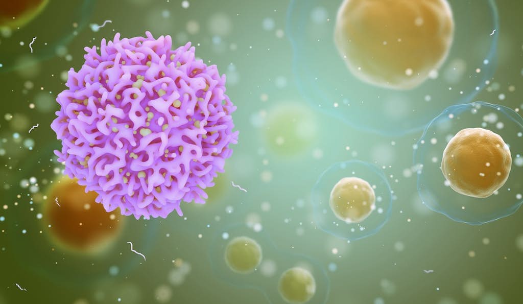 Why Does Your Immune System  Struggle to Fight Cancer? about false