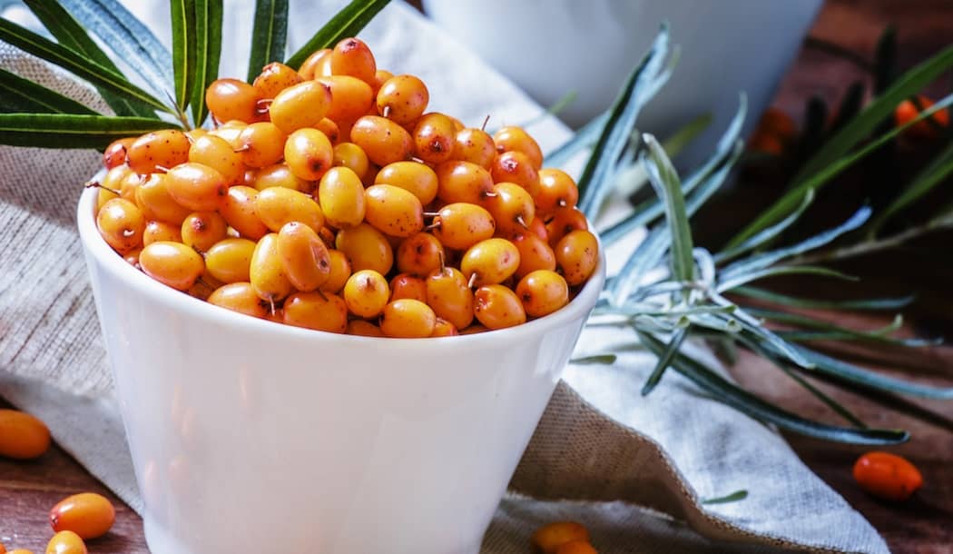 Tangy Berries Turn Up Your Body’s Natural Cancer-Fighting Power about undefined