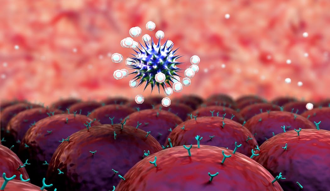 Potent Immune Booster Helping COVID-19 Patients Could be an Answer for Cancer about undefined