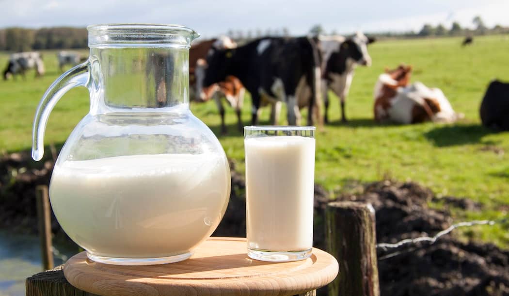 Does this Milk Cause Cancer? about undefined