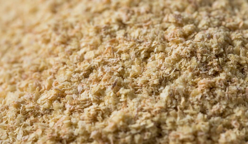 “Virgin Mary” Treatment Doubles Survival Rate for Cancer Patients about undefined