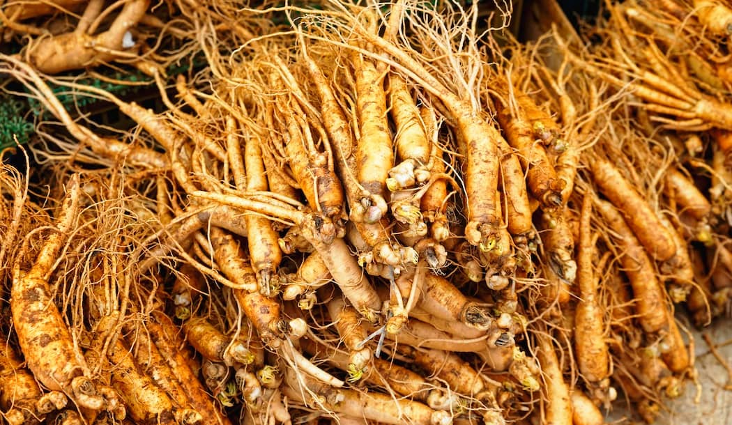 Stamina-Boosting Herb Can Also Fight Cancer about undefined