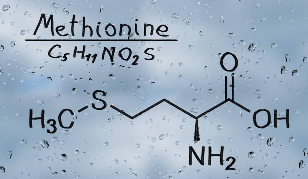 Removing Just One Nutrient from Your Diet Helps Cancer Treatment Succeed about undefined