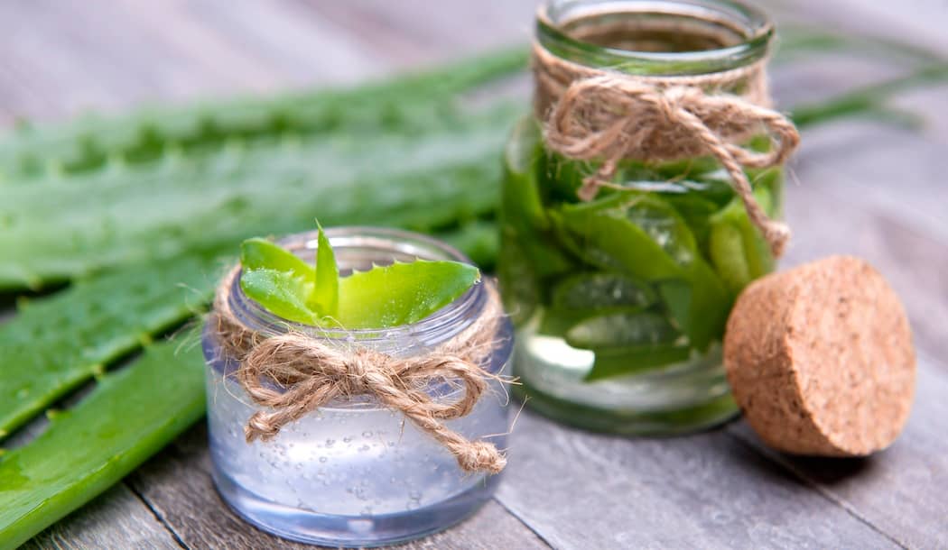 Folk Medicine Burn Remedy Has Anti-Cancer Power about undefined