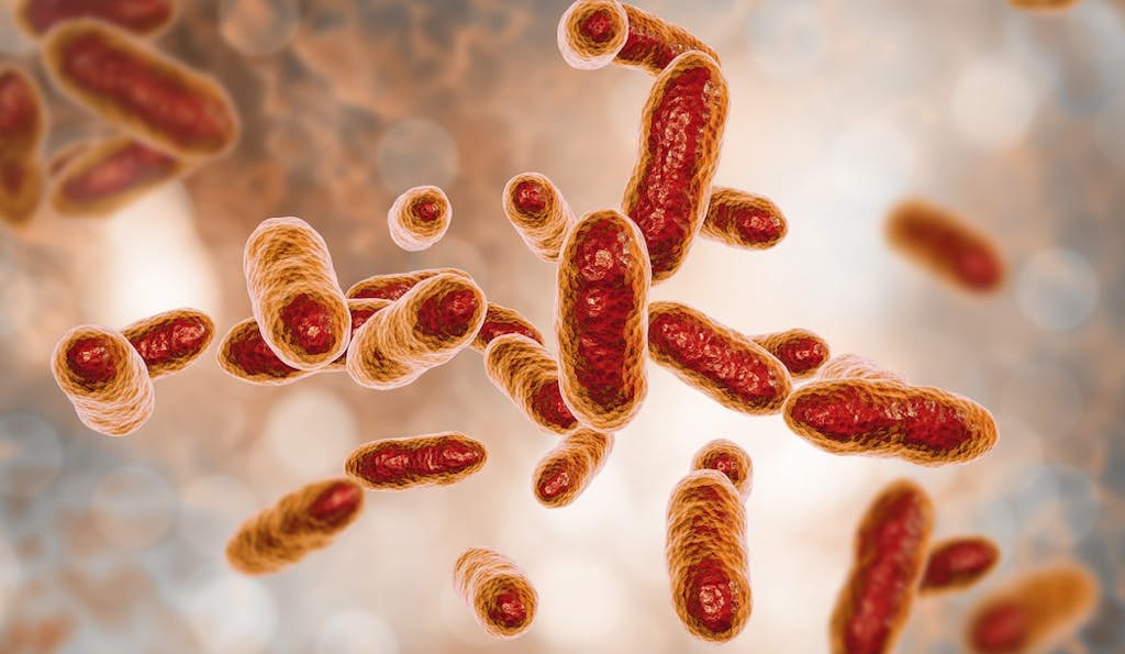 Using Deadly Bacteria to Kill Cancer about false