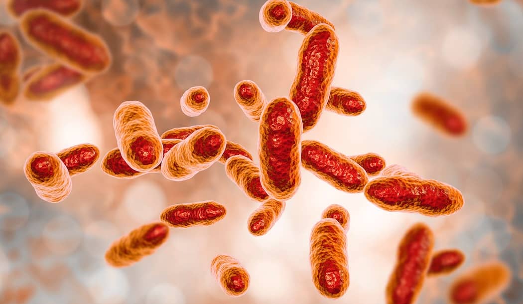 Using Deadly Bacteria to Kill Cancer about undefined