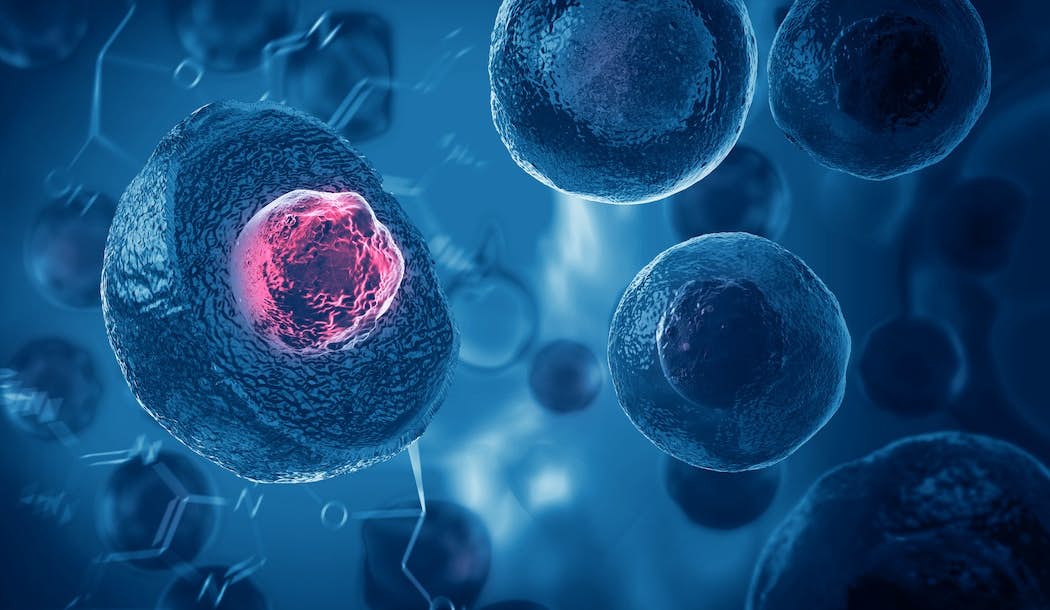 Stem Cell and Immune Therapy Breakthroughs May Hold the Key to Curing Cancer about undefined