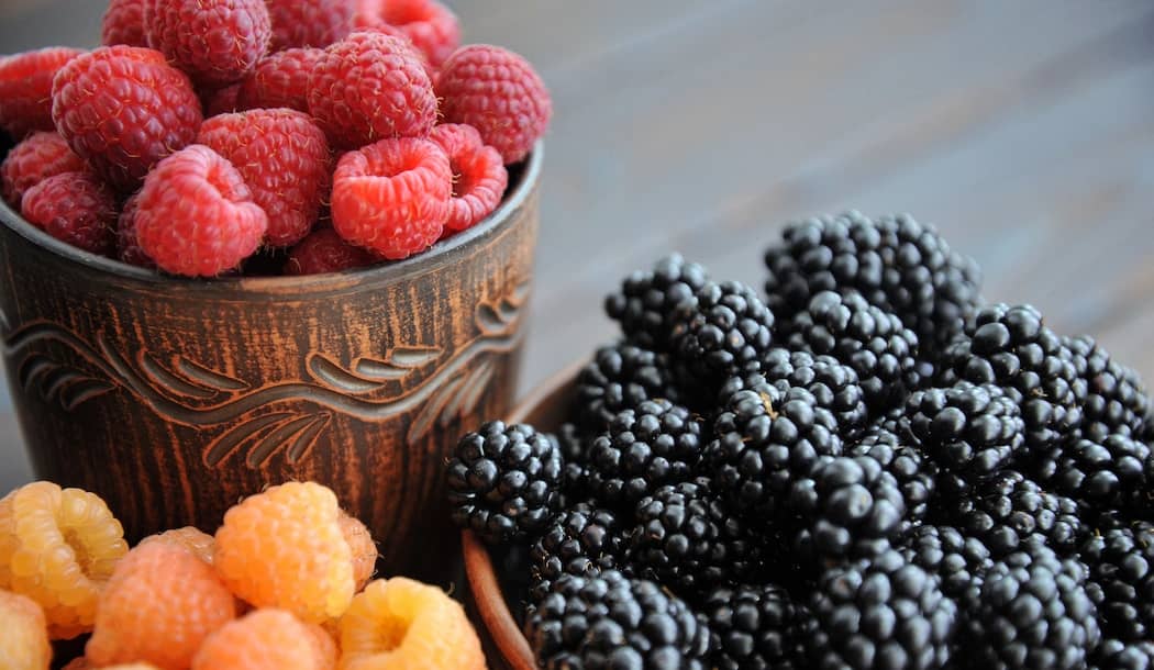 All-Natural Fat-Buster Fights Cancer Too! about undefined