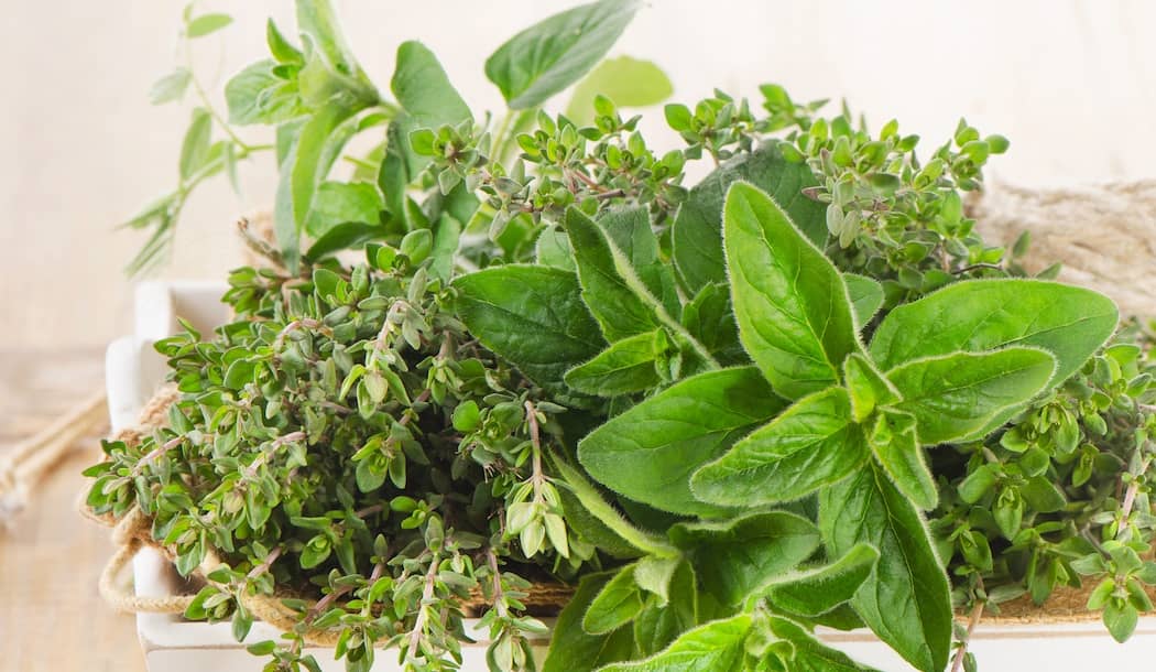 Scientists Discover Two Common Culinary Spices Can Fight Cancer about undefined