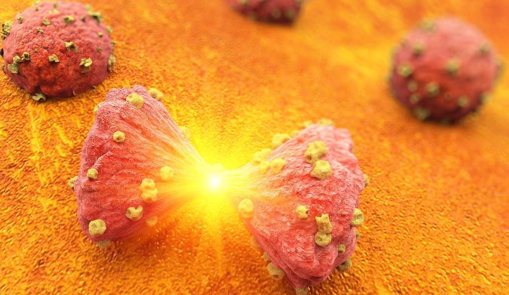 How Tiny Exploding Bubbles Can Obliterate Tumors in Under Seven Minutes about false