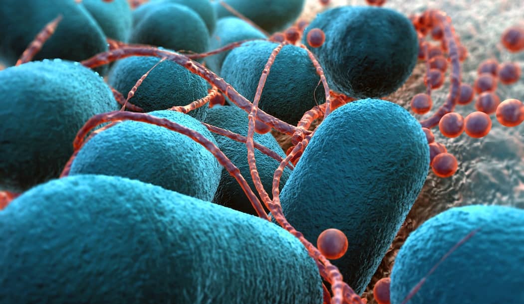 The “Food Poisoning” Cure for Cancer about undefined