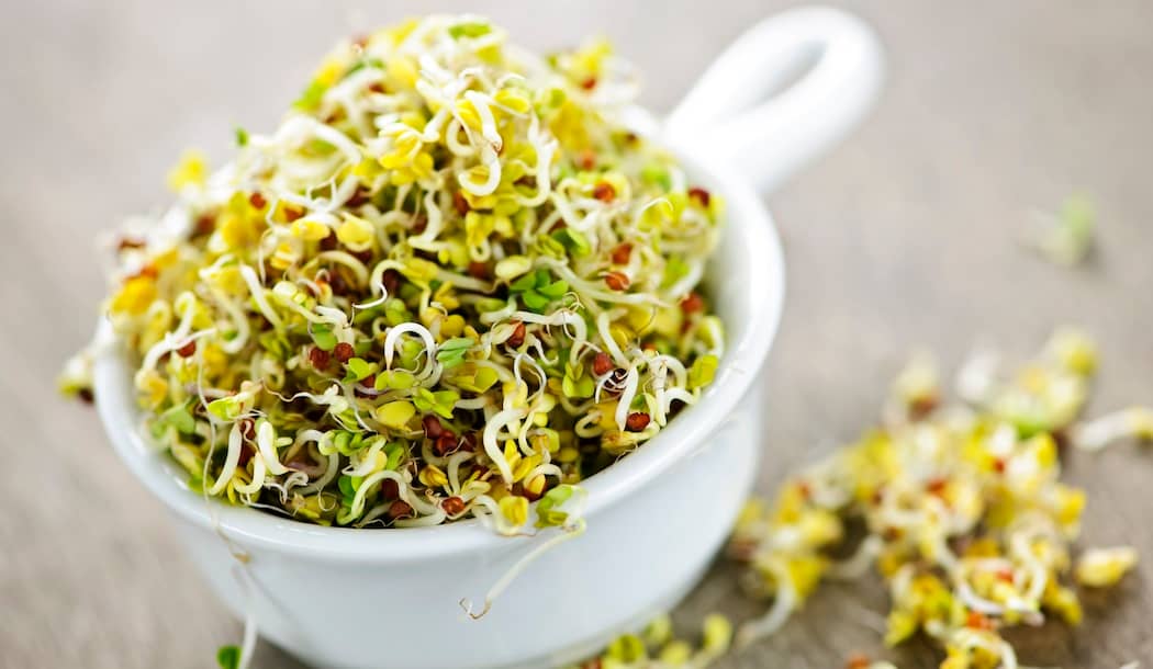 Cheap, Easy Way To Get Your Cancer-Fighting Vitamins about undefined