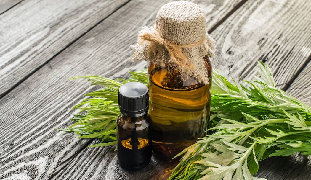 Can This Malaria Treatment Heal Cancer? about undefined